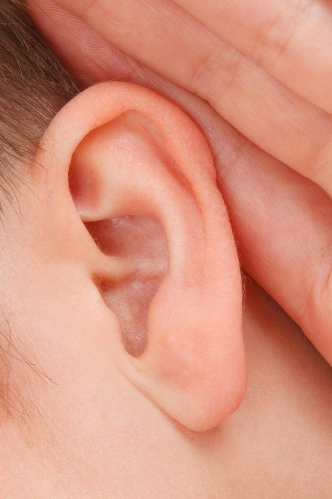 ear headphones