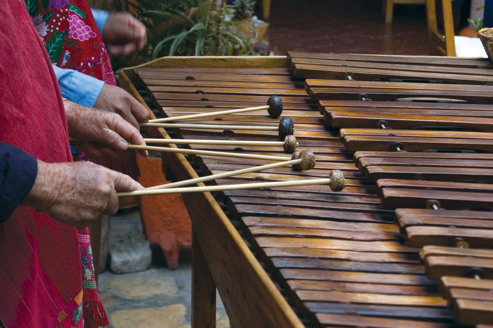 Leyenda Del Origen De La Marimba En Chiapas Para Niños