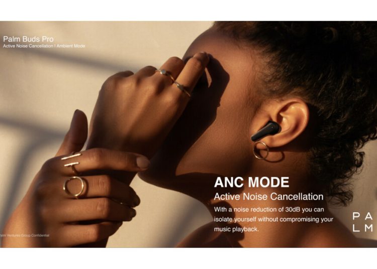 Palm Buds Pro