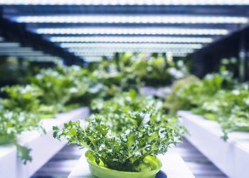 Amazon Epic Daily Deals - Feit Electric LED Grow Light Saves 50% at $22.79 Now