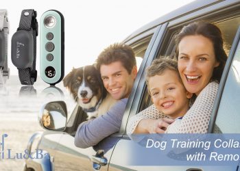 Amazon Epic Daily Deals -Lu&Ba Dog Shock Collar Saves 30% at $62.79 Now