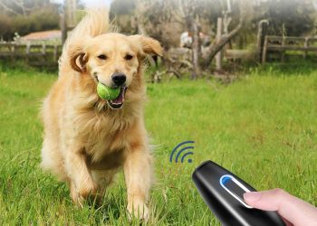 Ultrasonic Pet Corrector Dog Whistle