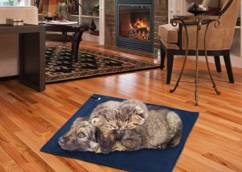 Electric Heating Pad