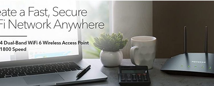 NETGEAR WAX204 Dual-Band WiFi 6 Access Point