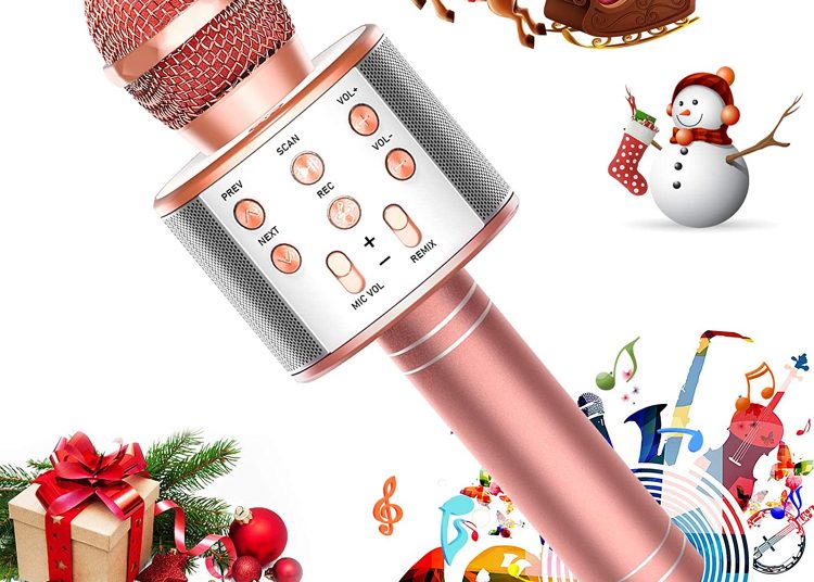 Handheld Wireless Karaoke Microphone