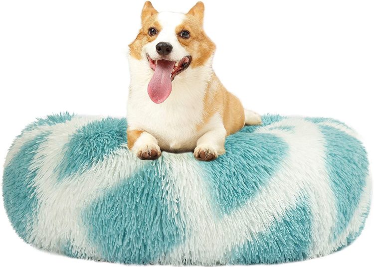 Lacher Donut Pet Bed