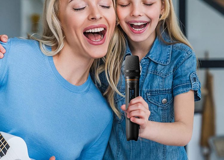 Wireless Microphone System