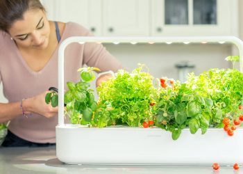 smart gardening devices