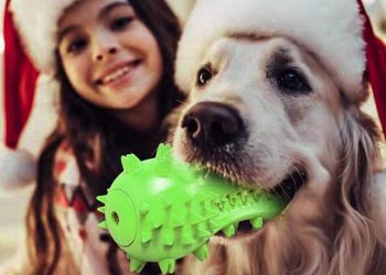 Rosmax Dog Chew Toy