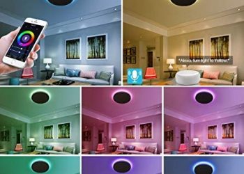 Smart Ceiling Light