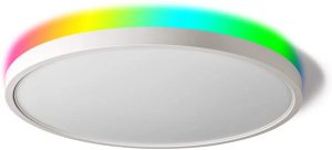 Taloya Smart Ceiling Light