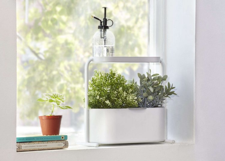 indoor herb garden kits