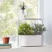 indoor herb garden kits