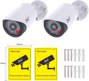 Fake Security Cameras