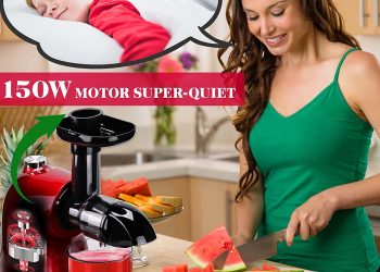 Slow Masticating Juicer