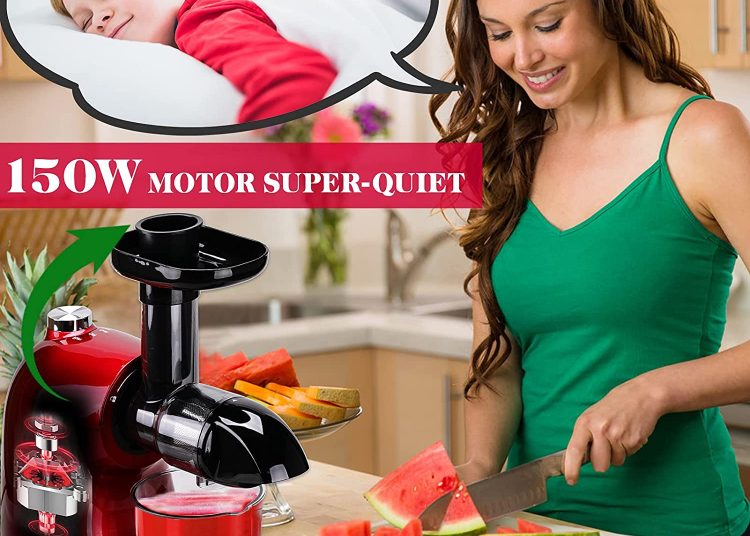 Slow Masticating Juicer
