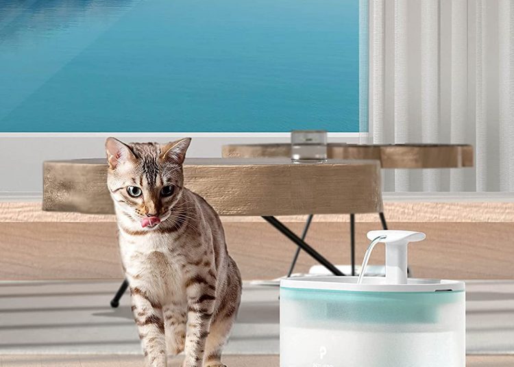 Cat Water Fountain