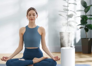 Govee 6L Smart Humidifiers