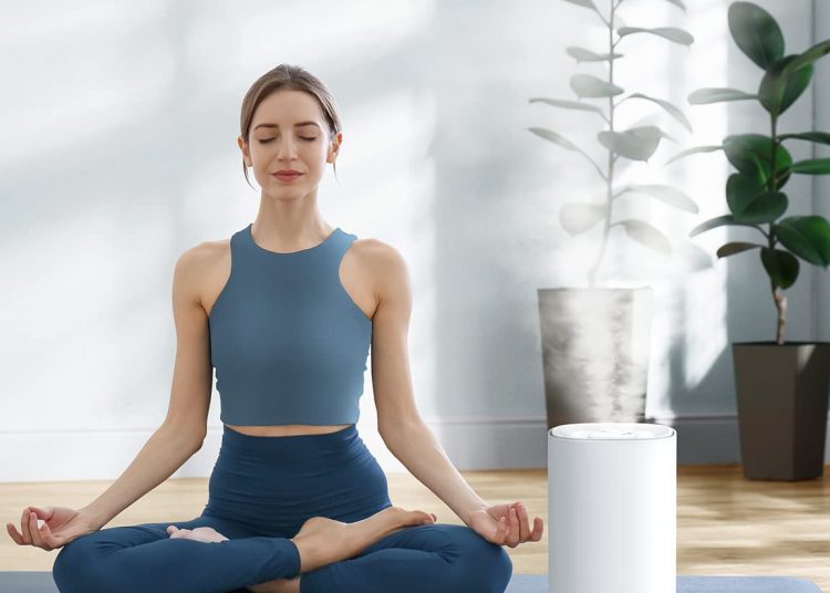 Govee 6L Smart Humidifiers