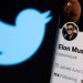 Elon Musk Twitter
