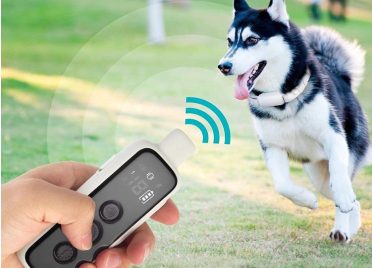 Bousnic Dog Shock Collar 0429