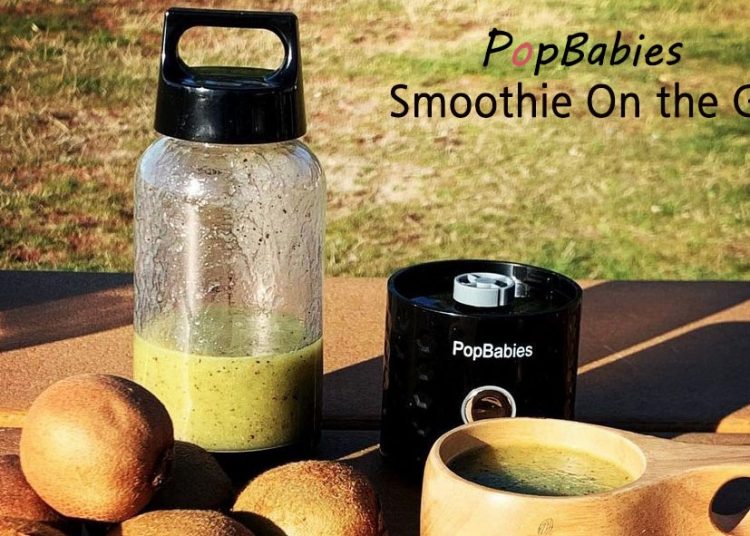 Smoothie Blender 0422