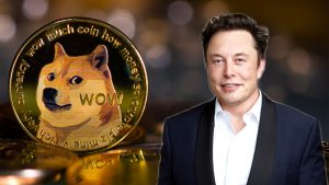 Elon Musk sued by Dogecoin investors