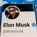 Seems Elon Musk Wants to Buy Twitter After All
